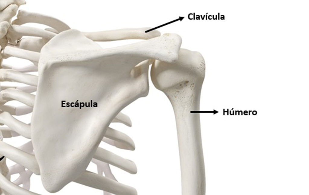 Cuidar es AMAR, es AMARSE. Hoy, hombros II