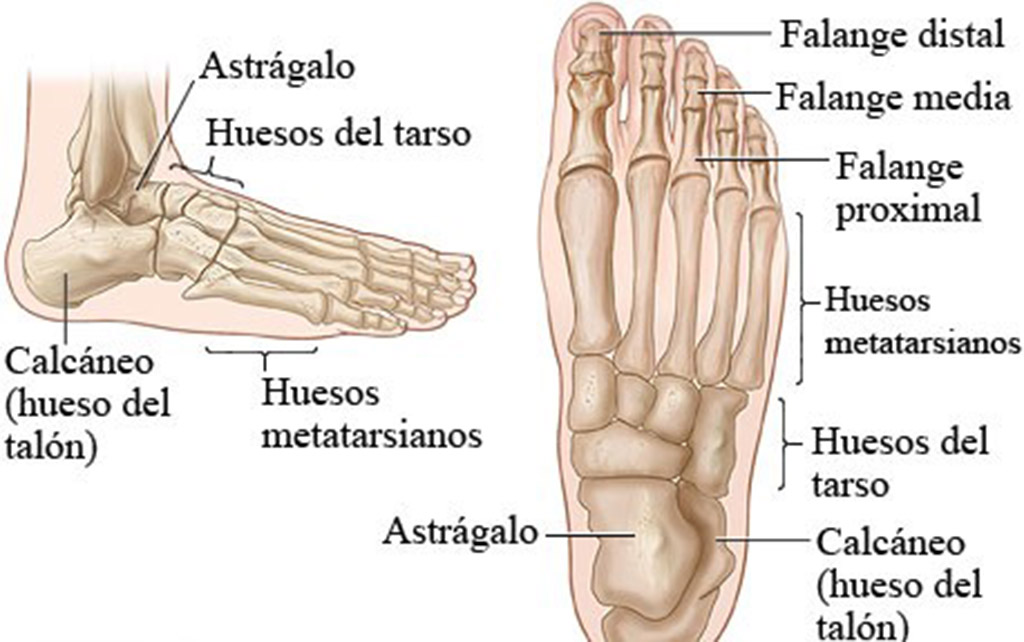 Cuidarse es AMAR, es AMARSE. Hoy, pies (I)
