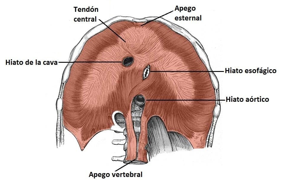 Cuidarse es AMAR, es AMARSE  Vídeo2