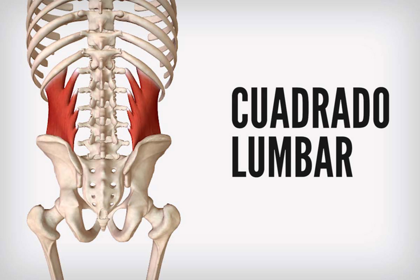 Cuidar es AMAR, es AMARSE