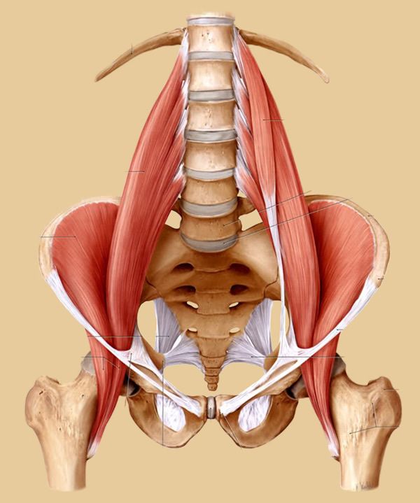 Cuidar es AMAR, es AMARSE. Don psoas y Don Ilíaco, un matrimonio bien avenido