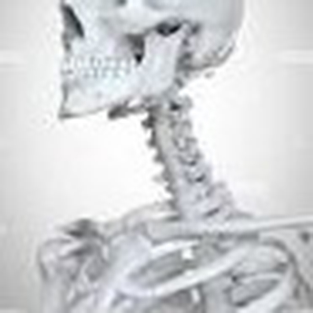 Cuidar es AMAR, es AMARSE; Hoy, el cuello